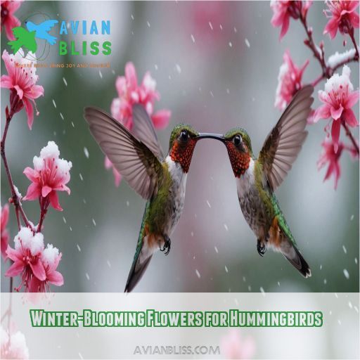 Winter-Blooming Flowers for Hummingbirds