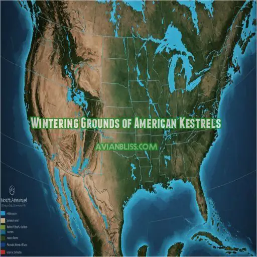 Wintering Grounds of American Kestrels