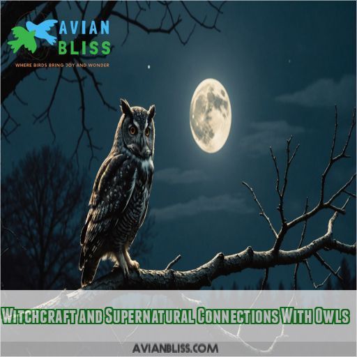 Witchcraft and Supernatural Connections With Owls