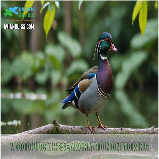 Wood Duck Research and Monitoring