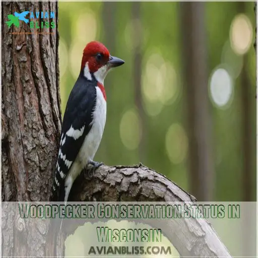 Woodpecker Conservation Status in Wisconsin