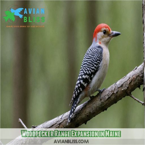 Woodpecker Range Expansion in Maine