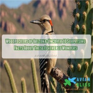 woodpeckers of arizona