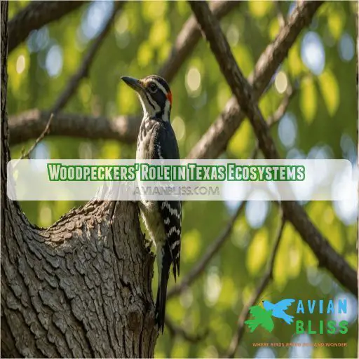 Woodpeckers