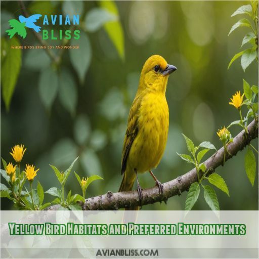 Yellow Bird Habitats and Preferred Environments