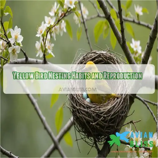 Yellow Bird Nesting Habits and Reproduction