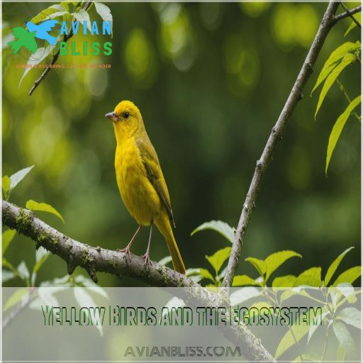 Yellow Birds and the Ecosystem