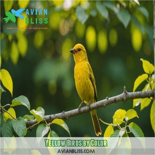 Yellow Birds by Color