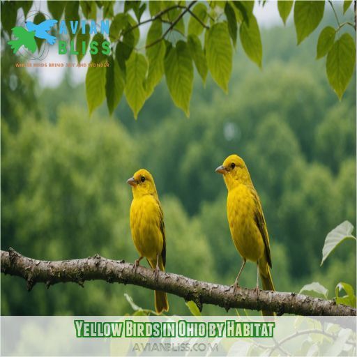 Yellow Birds in Ohio by Habitat