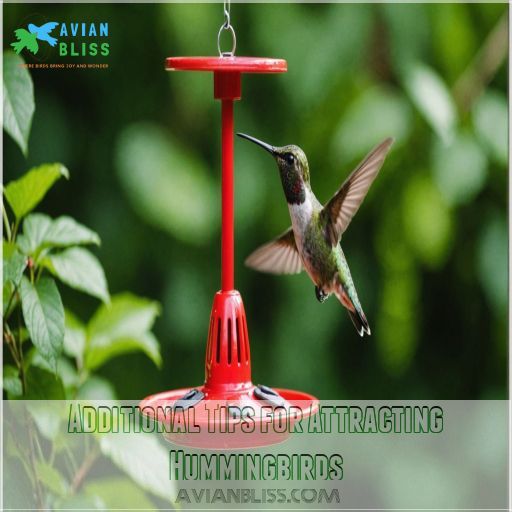 Additional Tips for Attracting Hummingbirds