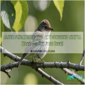 alder flycatcher