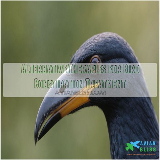 Alternative Therapies for Bird Constipation Treatment