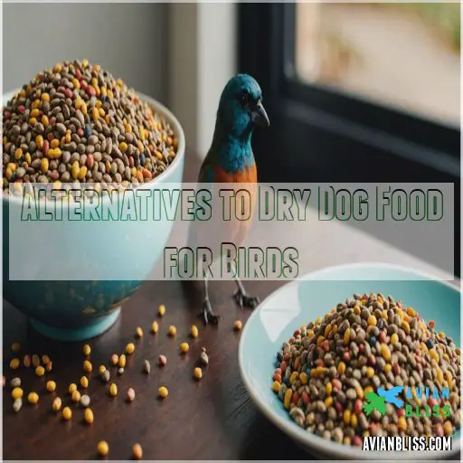 Alternatives to Dry Dog Food for Birds