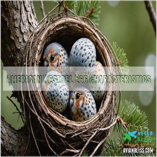 American Kestrel Egg Characteristics