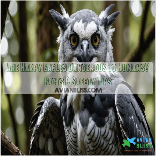 are harpy eagles dangerous to humans