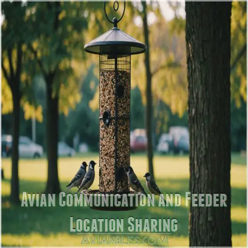 Avian Communication and Feeder Location Sharing