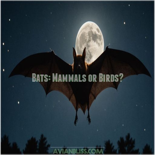 Bats: Mammals or Birds