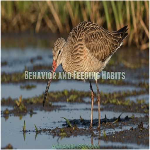 Behavior and Feeding Habits