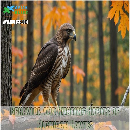 Behavior and Hunting Habits of Michigan Hawks