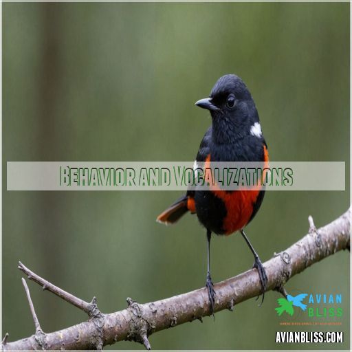 Behavior and Vocalizations