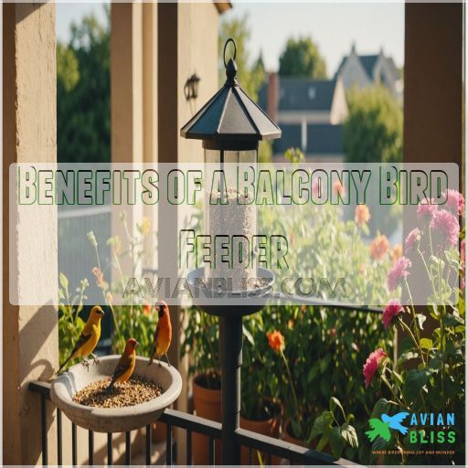 Benefits of a Balcony Bird Feeder