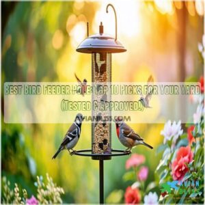 best bird feeder pole