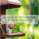 best squirrel proof feeders