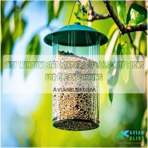 best window bird feeder