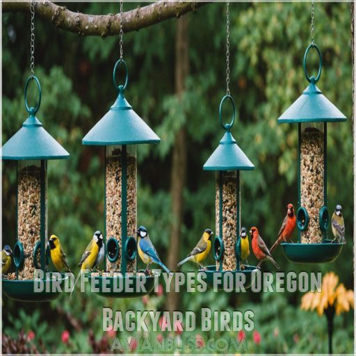 Bird Feeder Types for Oregon Backyard Birds