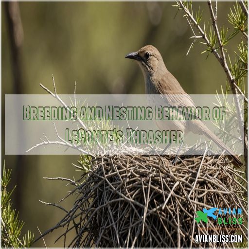 Breeding and Nesting Behavior of LeConte