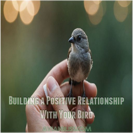 Building a Positive Relationship With Your Bird