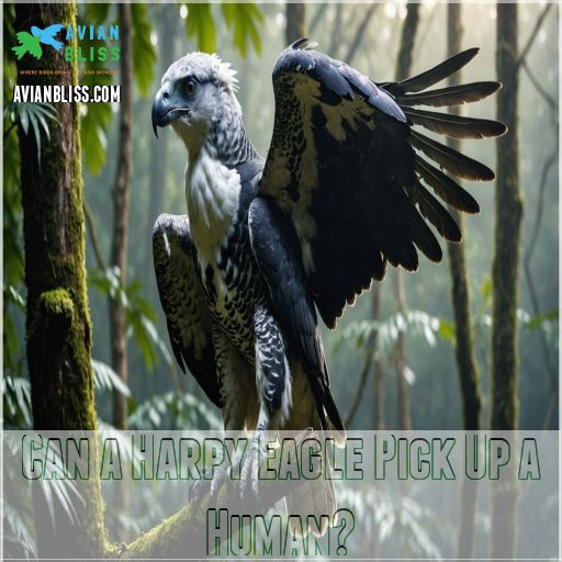 Can a Harpy Eagle Pick Up a Human