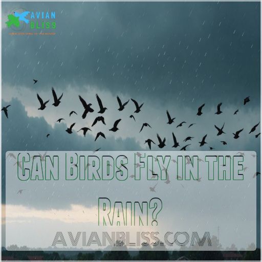 Can Birds Fly in the Rain