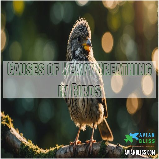 Causes of Heavy Breathing in Birds