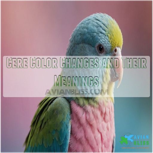 Cere Color Changes and Their Meanings