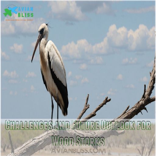 Challenges and Future Outlook for Wood Storks