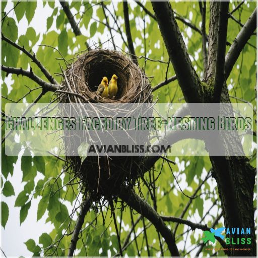 Challenges Faced by Tree-nesting Birds