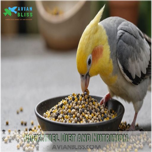 Cockatiel Diet and Nutrition