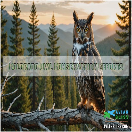 Colorado Owl Conservation Efforts