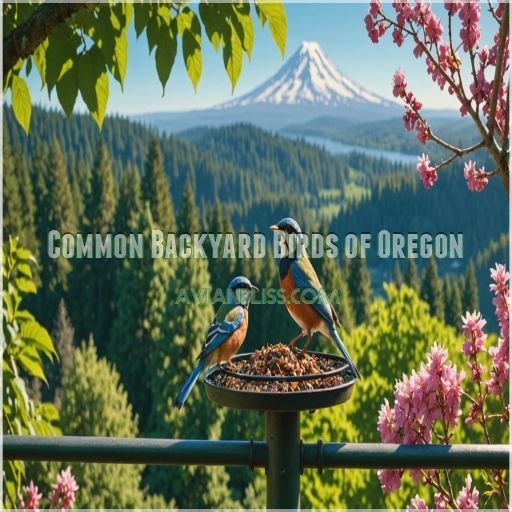 Common Backyard Birds of Oregon