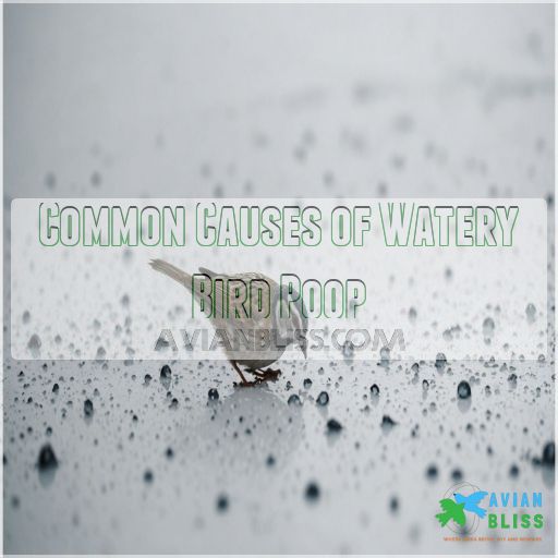 Common Causes of Watery Bird Poop