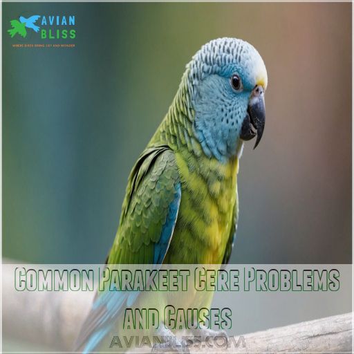 Common Parakeet Cere Problems and Causes