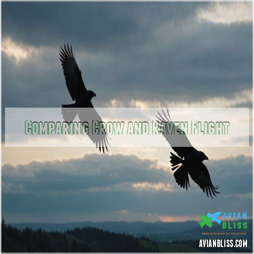 Comparing Crow and Raven Flight