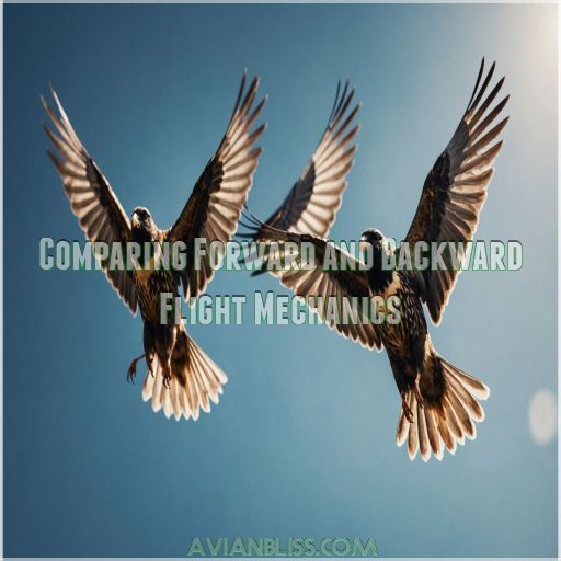 Comparing Forward and Backward Flight Mechanics