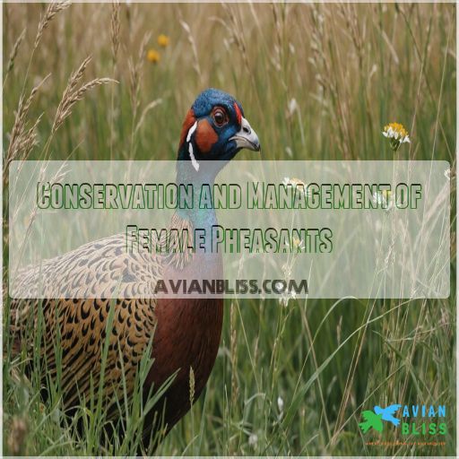 Conservation and Management of Female Pheasants