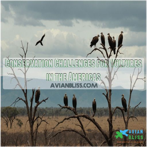 Conservation Challenges for Vultures in the Americas