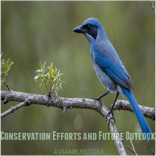 Conservation Efforts and Future Outlook