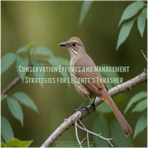 Conservation Efforts and Management Strategies for LeConte