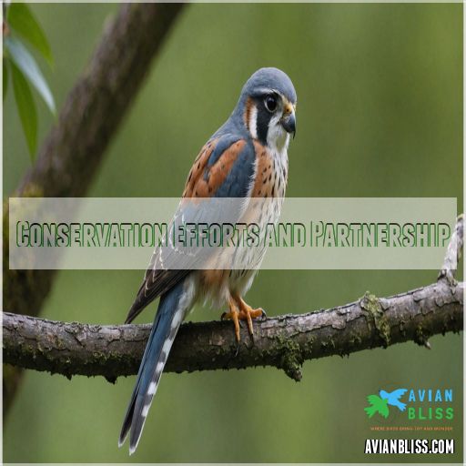 Conservation Efforts and Partnership