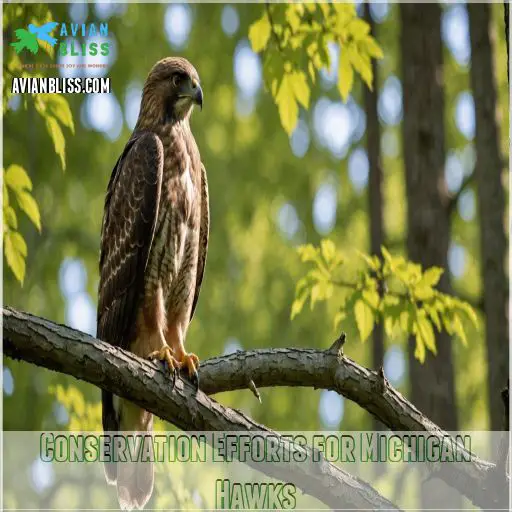 Conservation Efforts for Michigan Hawks